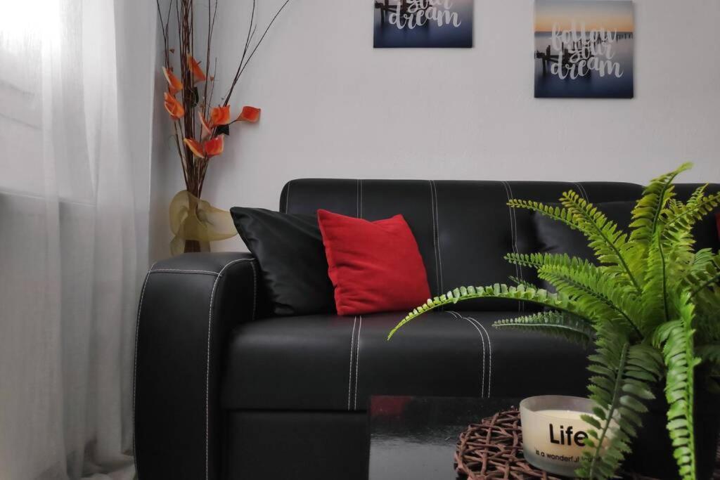 Iris Room Metamorfosi  Bagian luar foto